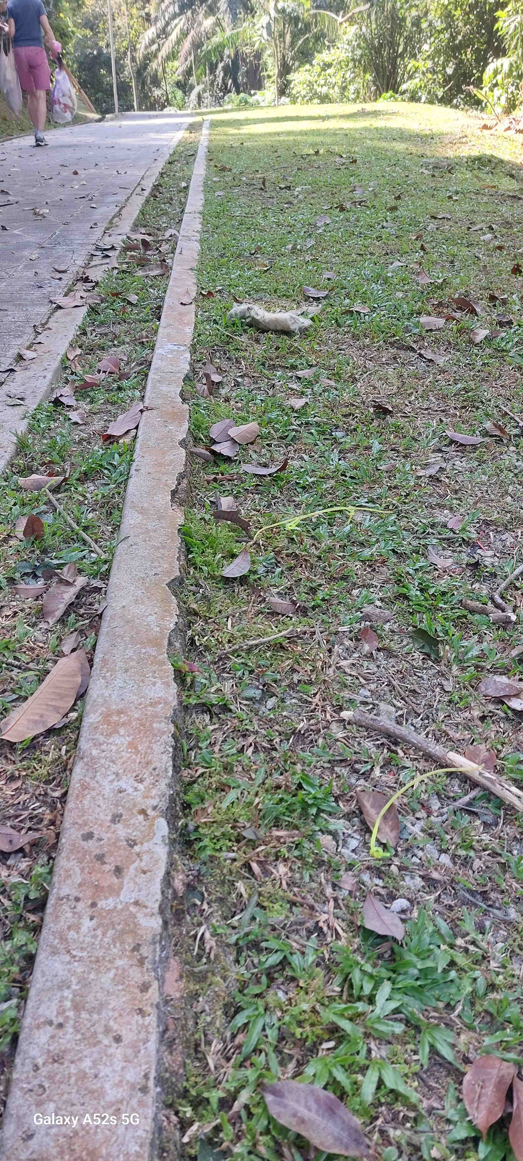 Image from: Are these litter?