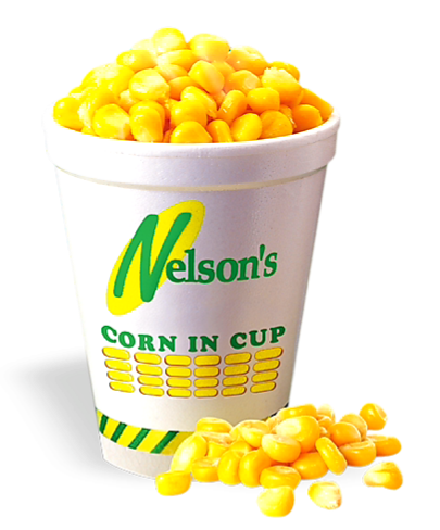 Image from: Najib, his son, the Speaker, Lim Kit Siang and Nelson's Corn created history in a week of many first time happenings