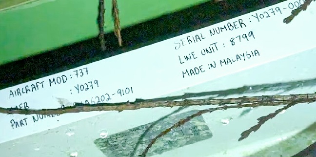 Image from: Potential Fallout for Malaysian Manufacturers and Our Reputation in the Wake of Boeing 737 Max 9 Incident