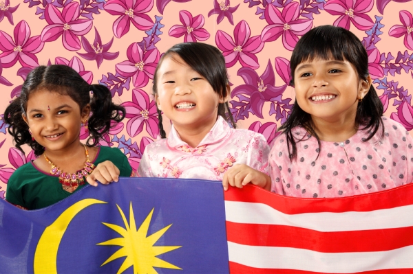 Image from: Is Malaysia's Community Dividing Along Religious and Racial Ethnic Lines?