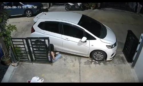Drunk lady hilariously climbs gate despite gate being wide open - mhmmdn4z
