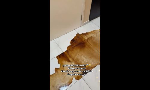 Landlord left stunned by rental unit's filthy condition after tenant moves out - firziey_family