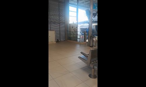 Commuter startled after spotting monkeys on Bandar Baru Klang LRT3 platform - emon.rie