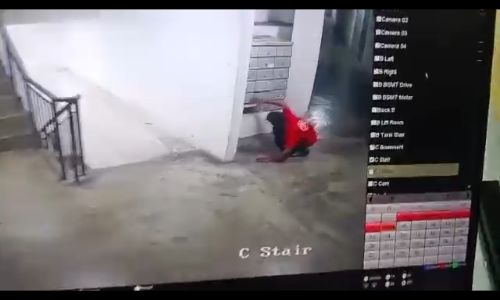 Kids caught stealing parcels after rummaging through apartment letterboxes - __shaaaaa__