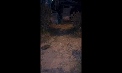 M’sian raises concern over 20 cats kept in cramped cages, owner says it’s to protect them from dogs - shakilanatasha_