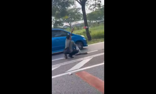 Two men safely guide python from road in Pasir Gudang - Daaneswaran Raju