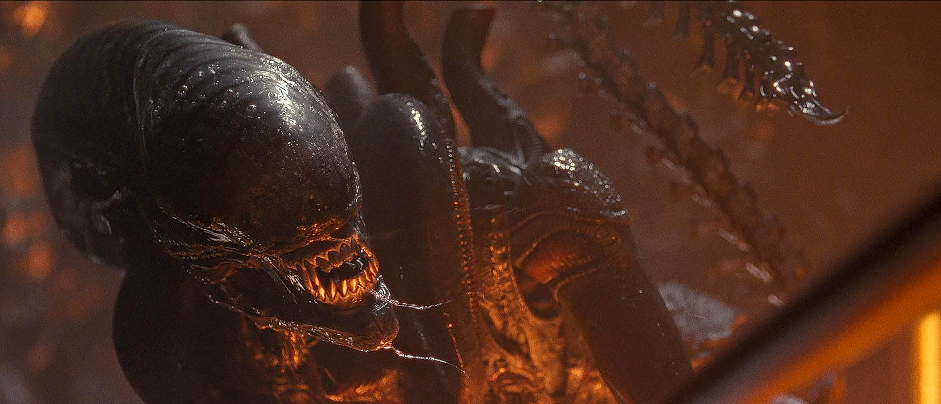 Image from: Alien: Romulus