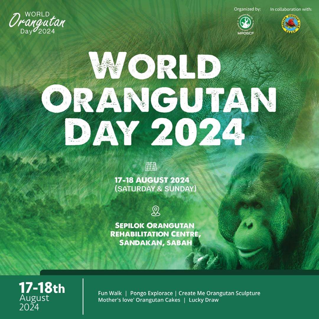 Image from: Orangutan diplomacy revised to in-situ conservation