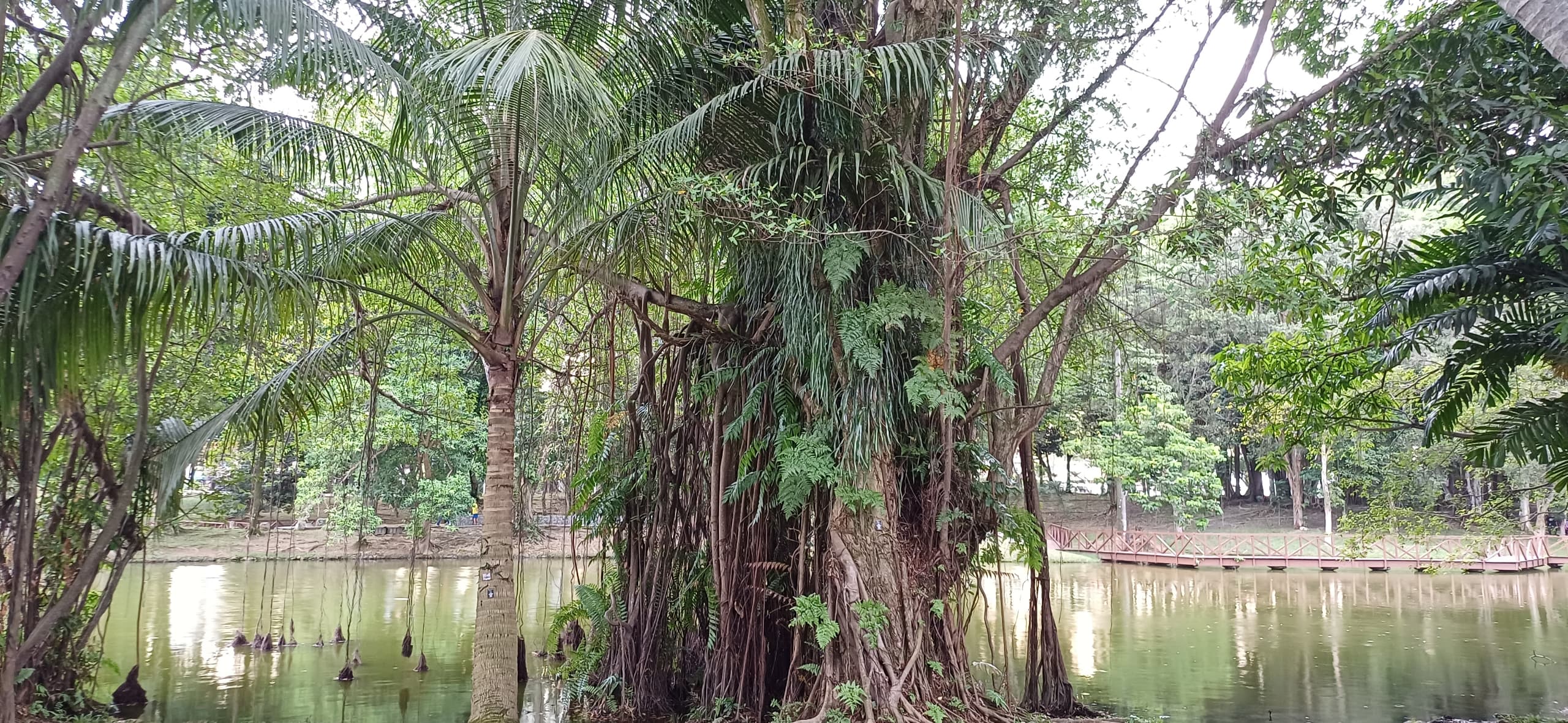 Image from: A Tranquil Escape at Taman Tasik Shah Alam: Embracing Fitness, Nature, and Community #SihatCergas