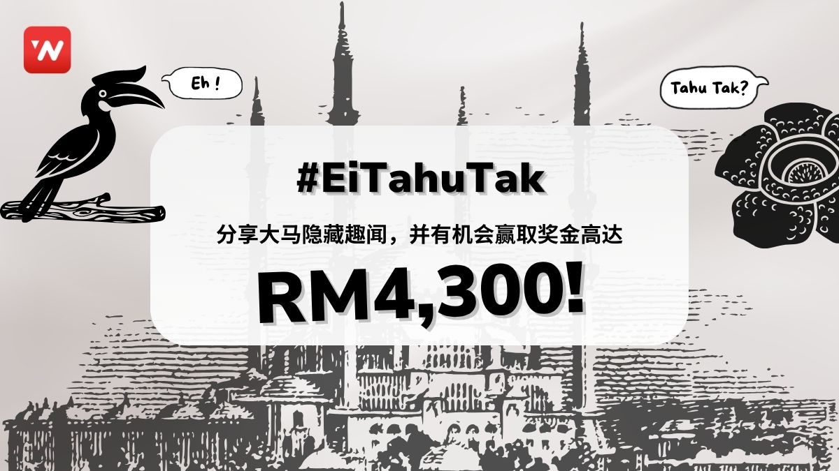 Image from: #EiTahuTak | 喂一包 RM2 猫粮，可能换来 RM500 罚单？