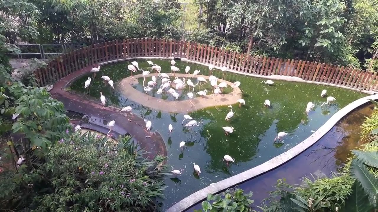Image from: Bird Paradise Delivers Immersive Global Habitats and Avian Conservation