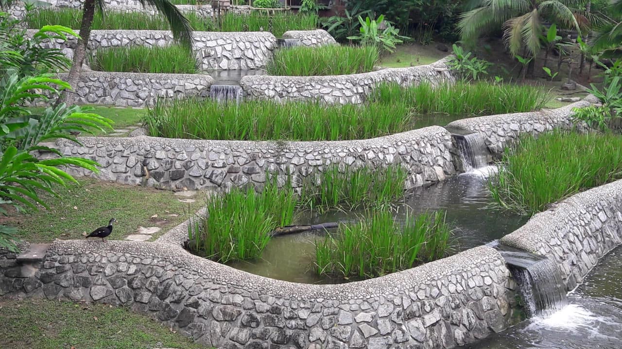 Image from: Bird Paradise Delivers Immersive Global Habitats and Avian Conservation