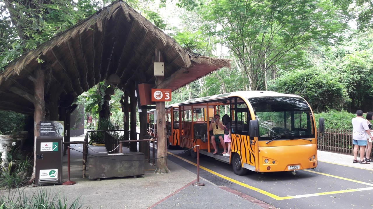 Image from: Exploring Singapore Zoo: An Immersive Journey Through Diverse Wildlife Habitats