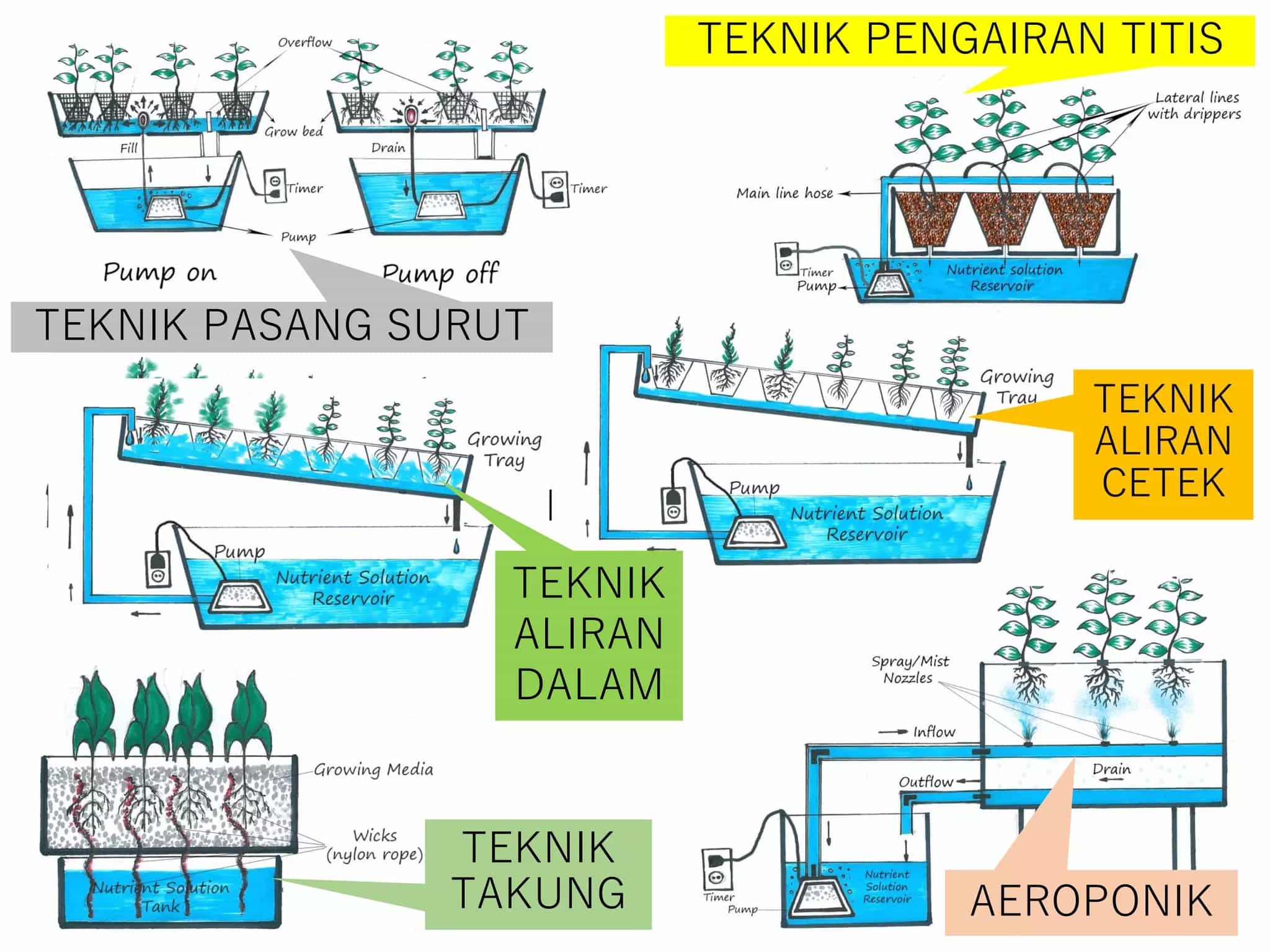 Reka Bentuk Sistem Fertigasi: Panduan Lengkap untuk Pertanian Moden