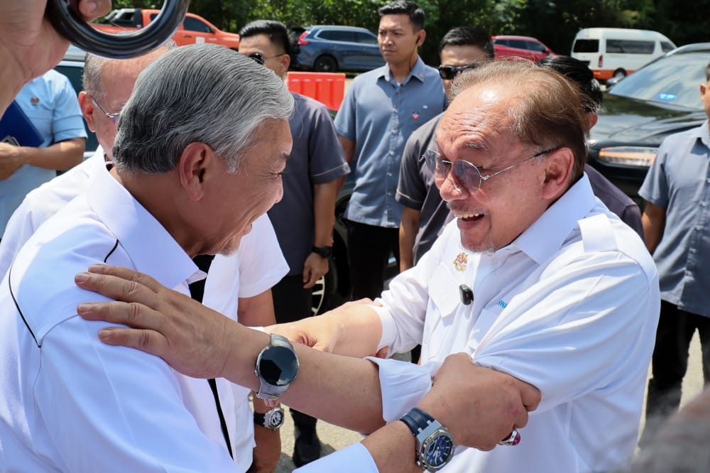 Image from: OPINION | Dear DAP, Don't Forget Why We Loved You
