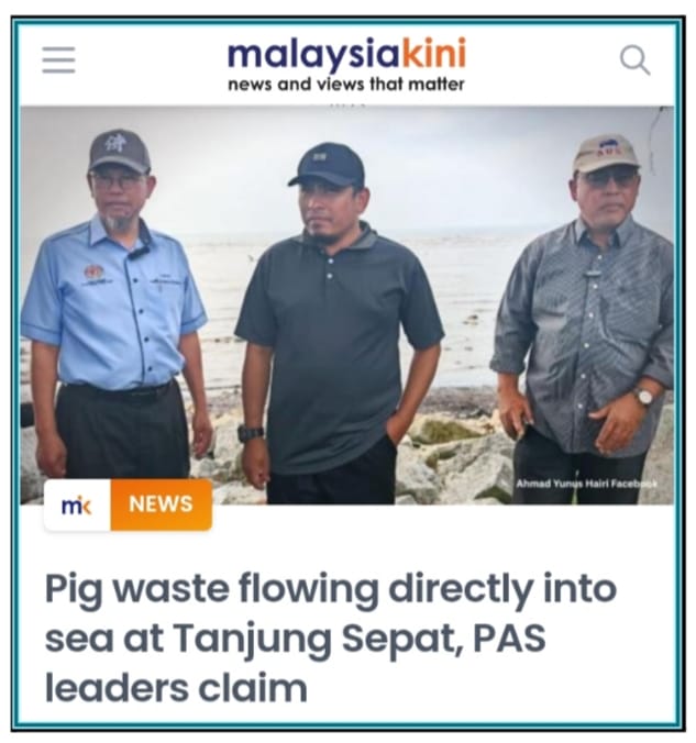 Image from: OPINION | “Politicking And Pigs: Any Difference...?!!” – Sarawak MP Slams Corruption Hypocrisy!!