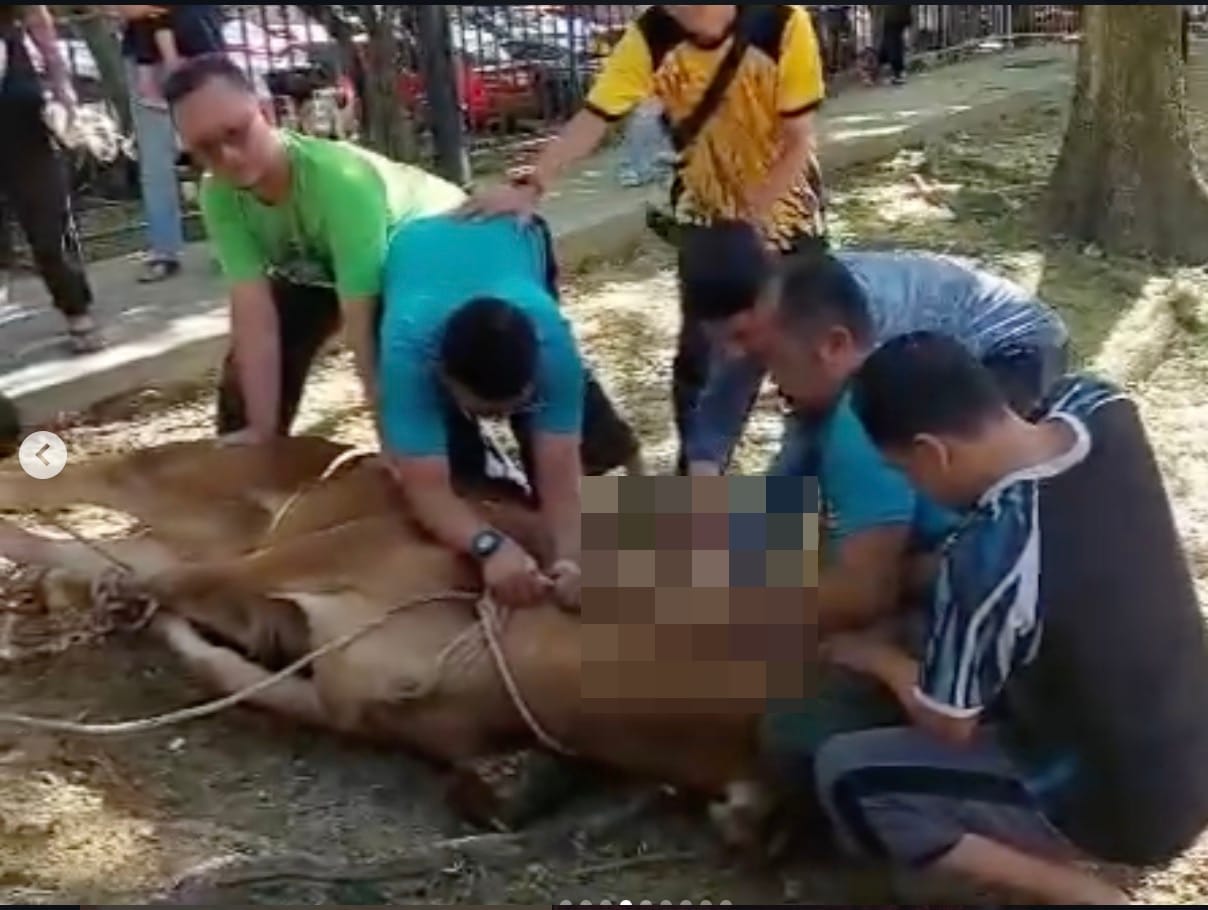 Image from: PM Anwar Ibrahim criticised for sharing graphic video of a cow being slaughtered, gets flagged by Instagram