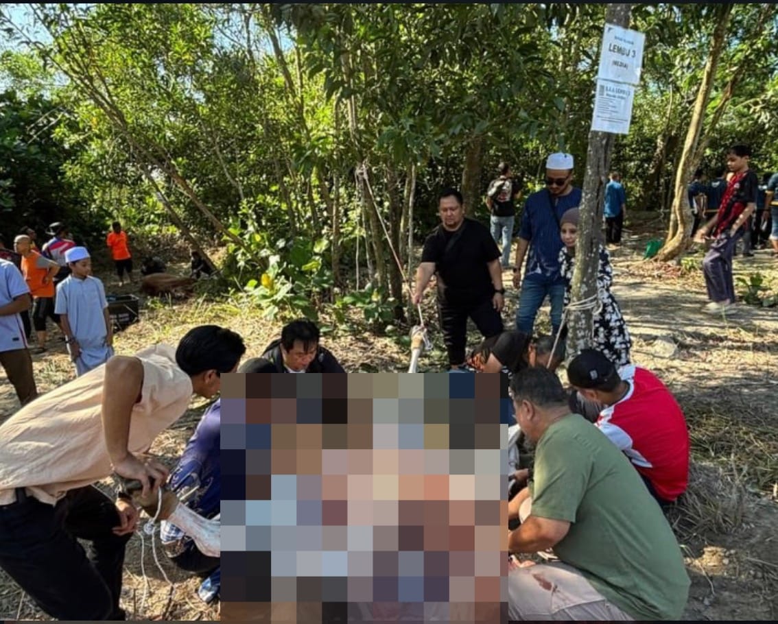 Image from: PM Anwar Ibrahim criticised for sharing graphic video of a cow being slaughtered, gets flagged by Instagram