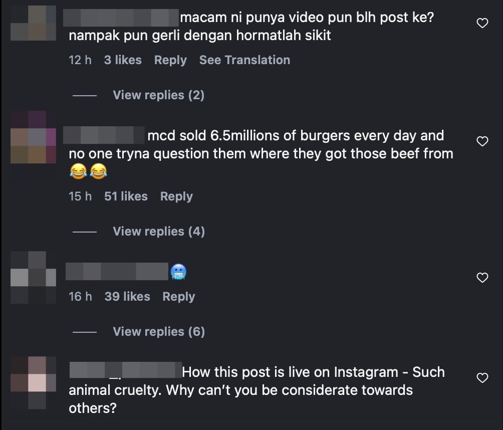 Image from: PM Anwar Ibrahim criticised for sharing graphic video of a cow being slaughtered, gets flagged by Instagram