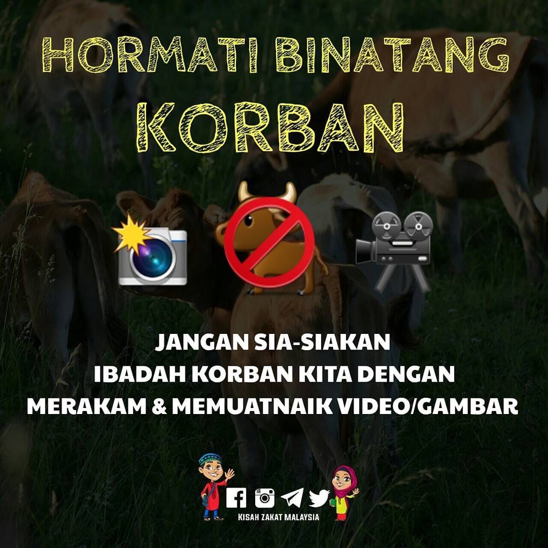 Image from: PM Anwar Ibrahim criticised for sharing graphic video of a cow being slaughtered, gets flagged by Instagram
