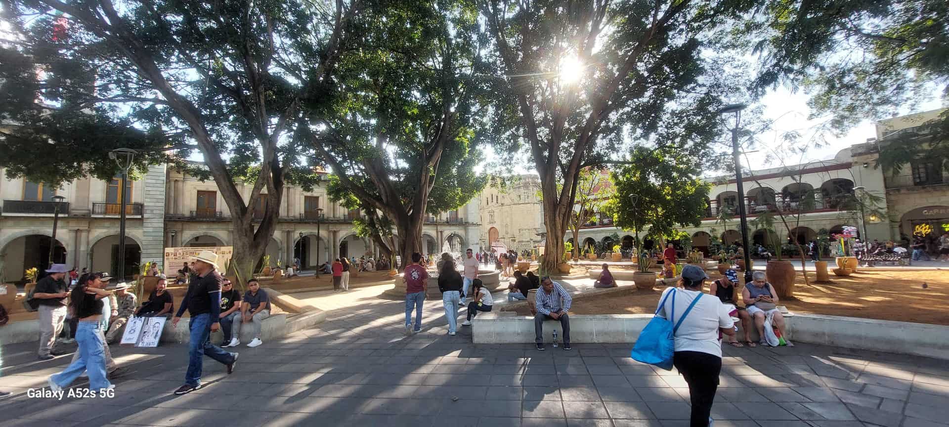 Image from: Oaxaca, a city where life lives