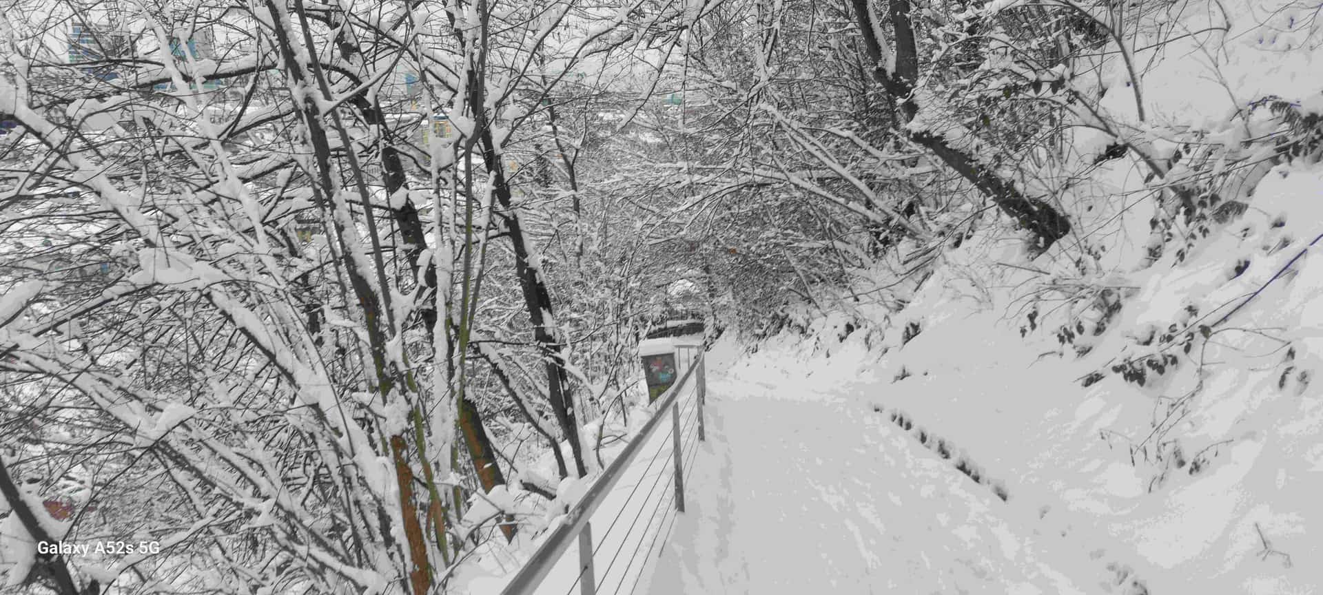 Image from: Ljubljana, a distinct and refined city