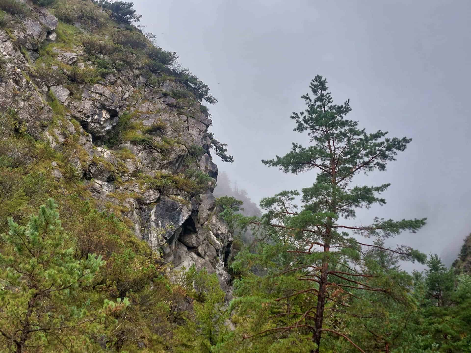 Image from: Yesterday when we were young, we were here