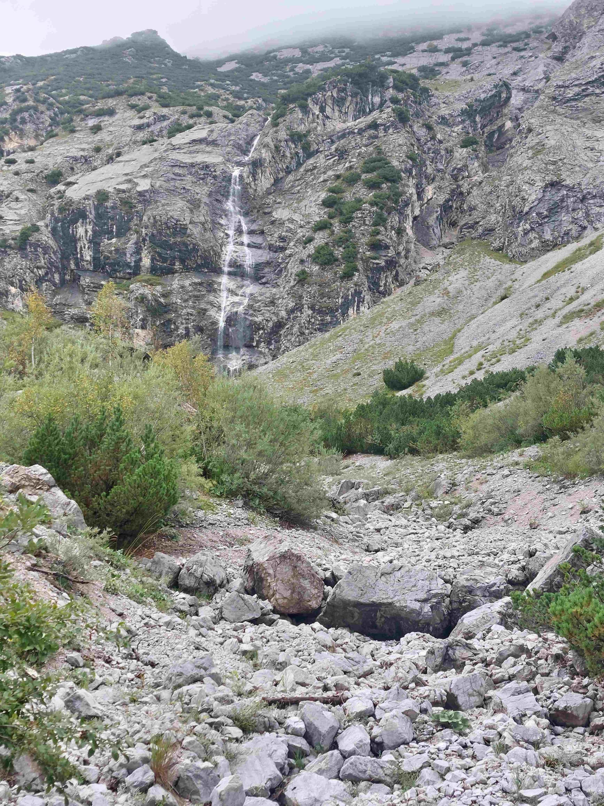 Image from: Yesterday when we were young, we were here