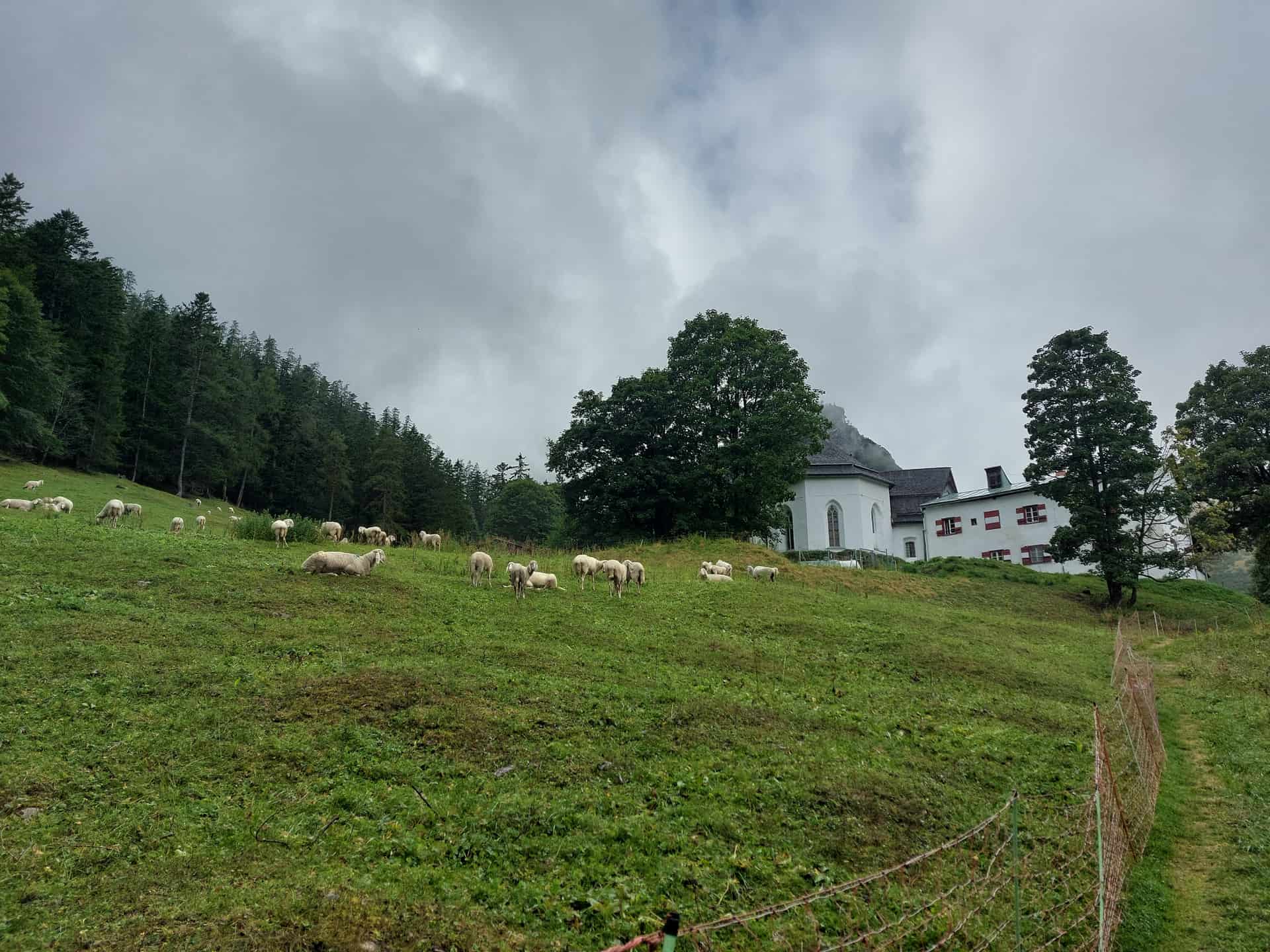 Image from: Yesterday when we were young, we were here