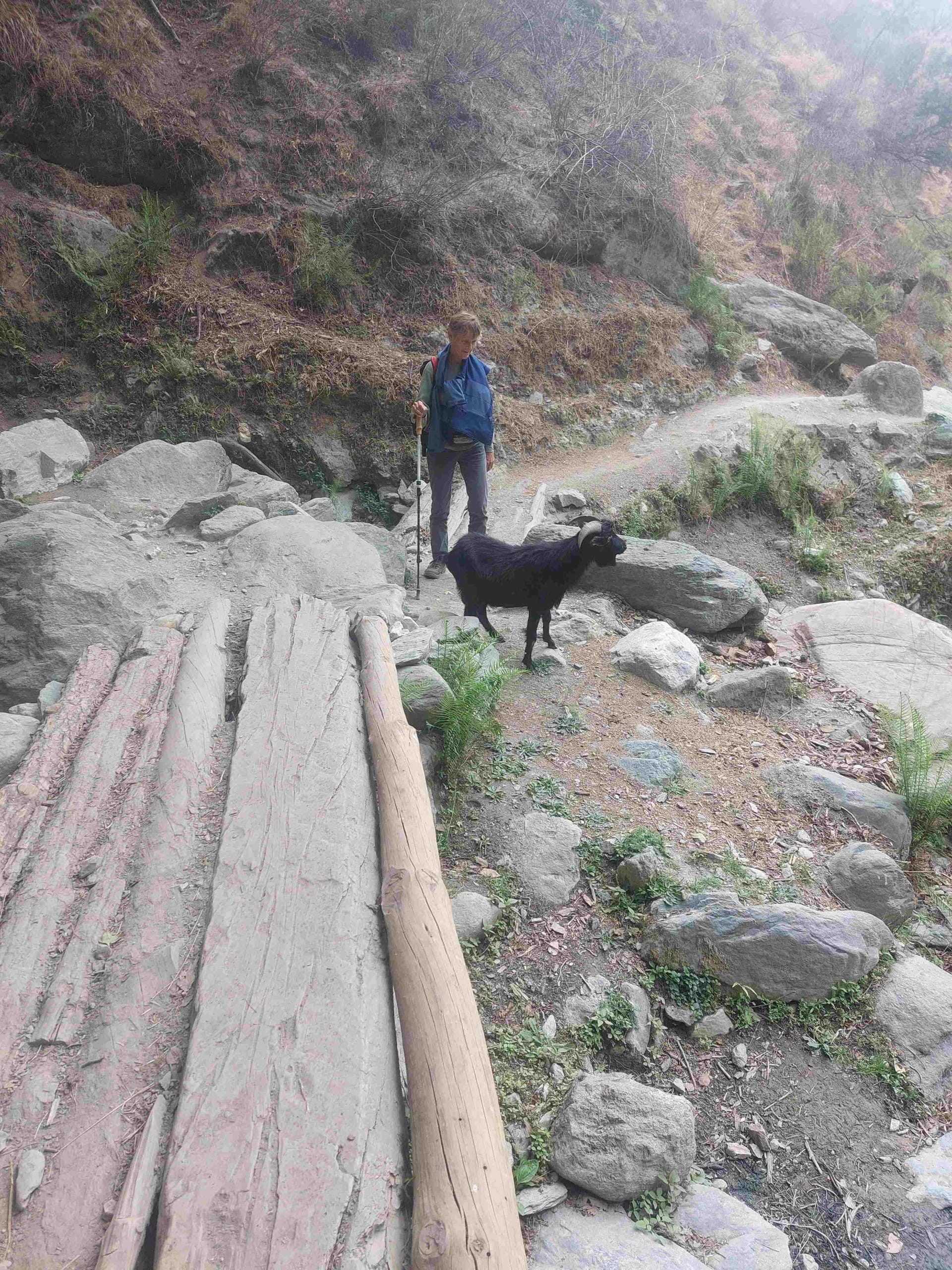 Image from: Hiking the Leaping Tiger.