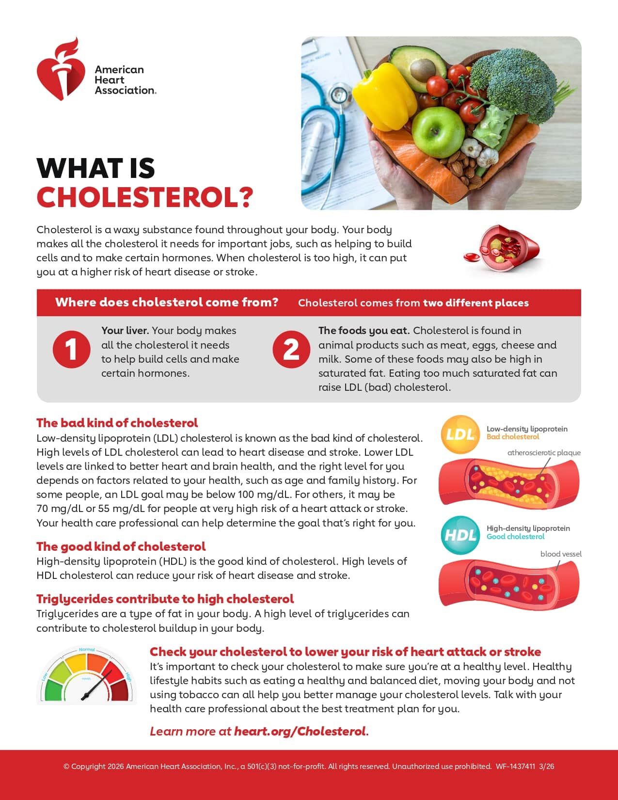 Image from: The Truth About Cholesterol: A Silent Killer in Your Blood
