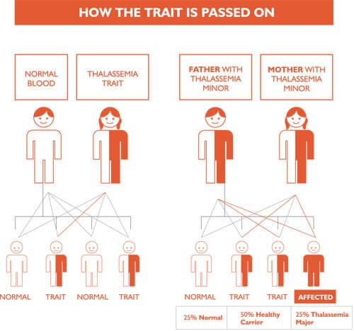 Image from: Thalassemia