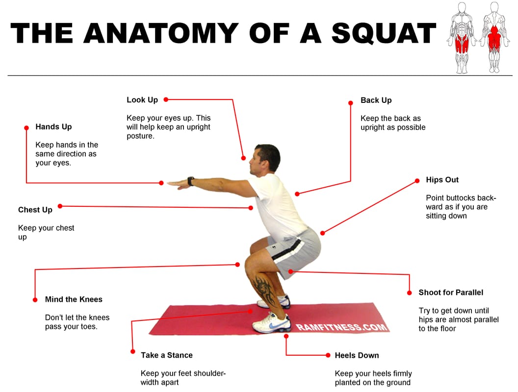 Image from: Squat exercise