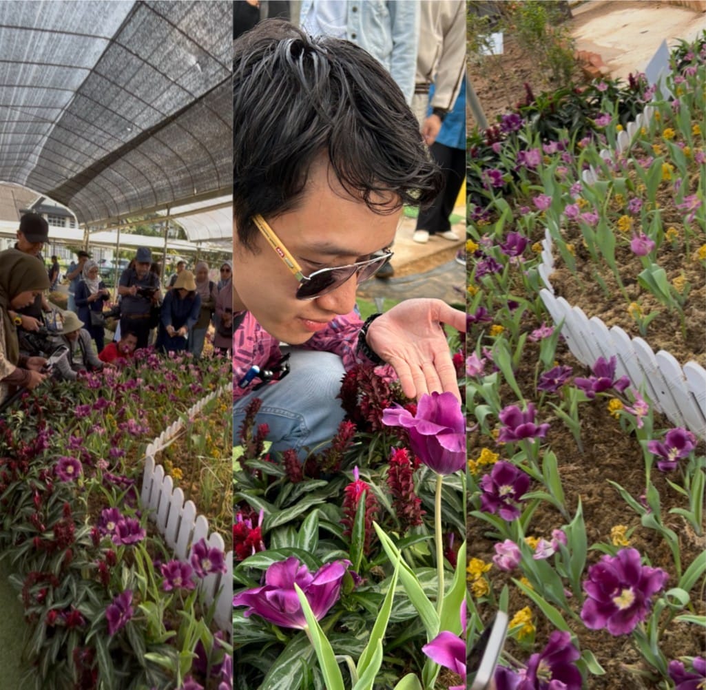 Image from: A “Mini Holland” in Cameron Highlands? Here’s What We Discovered