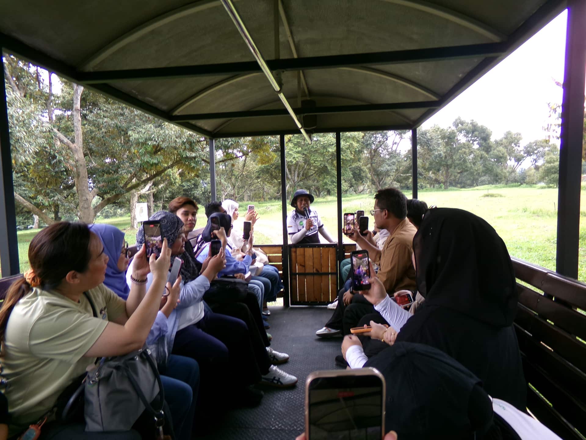 Image from: What Visiting MARDI Kuala Kangsar Taught Us About MS88 — Malaysia's Rising Premium Durian