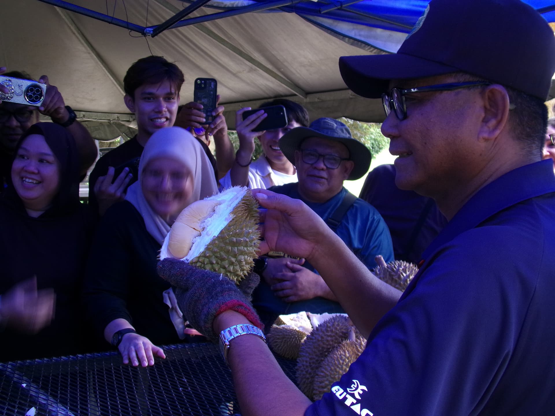 Image from: What Visiting MARDI Kuala Kangsar Taught Us About MS88 — Malaysia's Rising Premium Durian