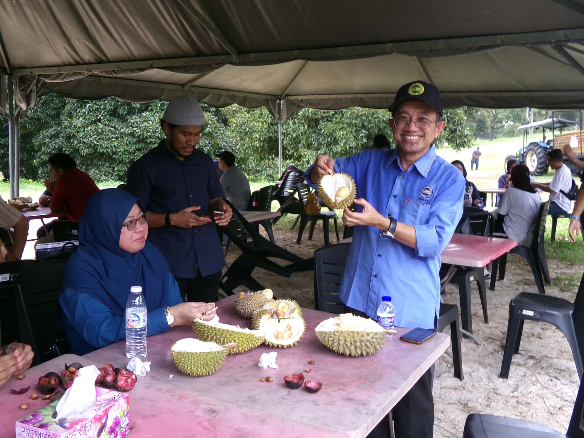 Image from: What Visiting MARDI Kuala Kangsar Taught Us About MS88 — Malaysia's Rising Premium Durian