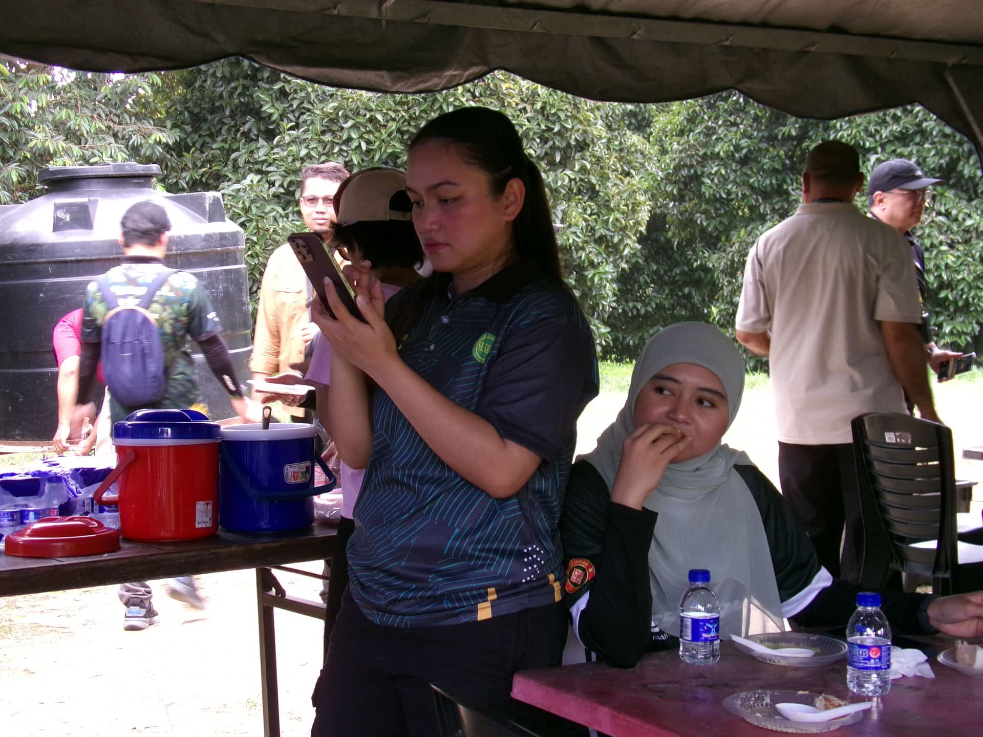 Image from: What Visiting MARDI Kuala Kangsar Taught Us About MS88 — Malaysia's Rising Premium Durian