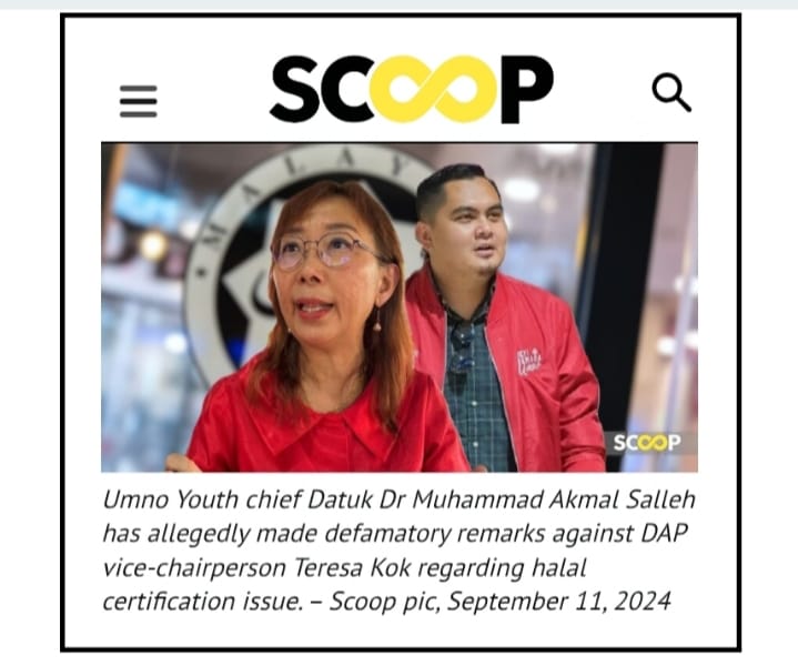 Image from: OPINION | “D-Day Or May Day?!!” – Is DAP About To Grant A “Walkover” To UMNO...?!!