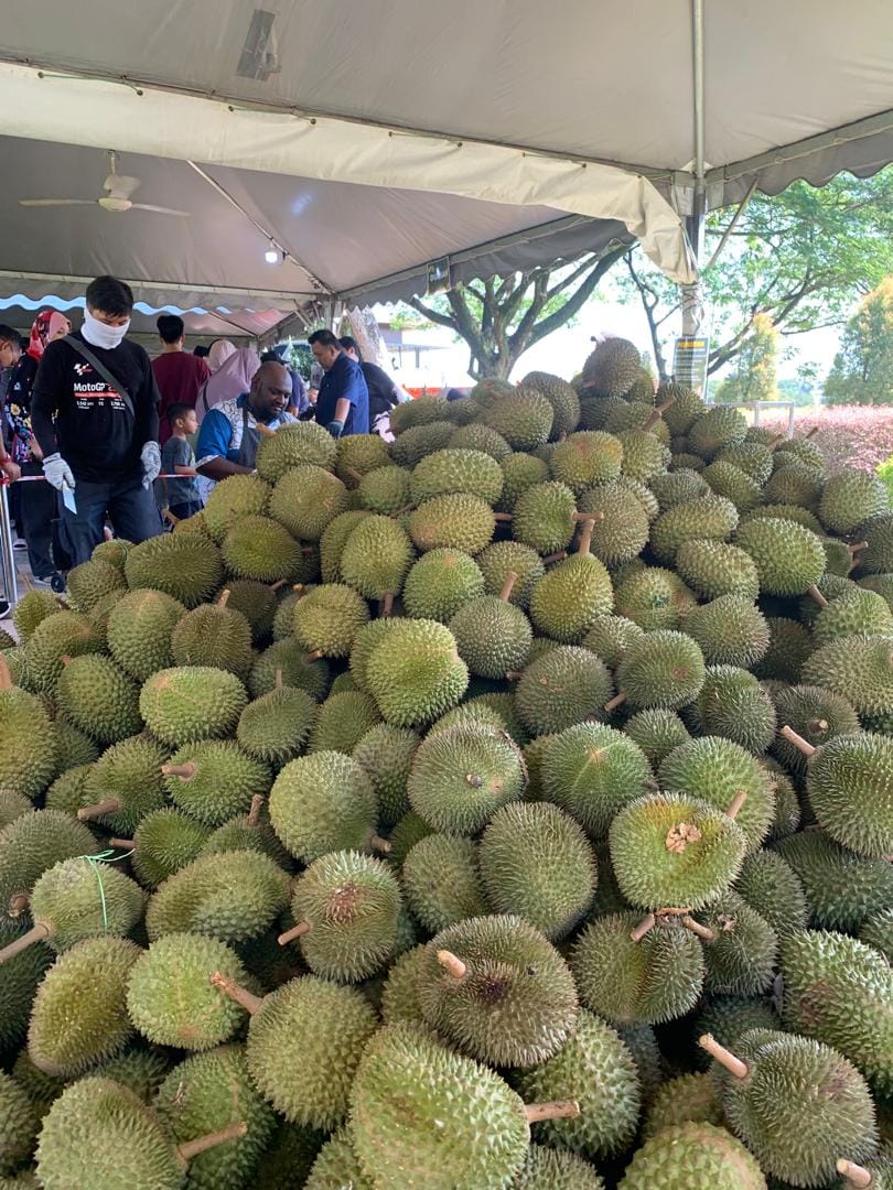 Image from: Malaysia experiencing a massive "durian tsunami" market glut in 2026, an immense oversupply, bumper harvest & low price 