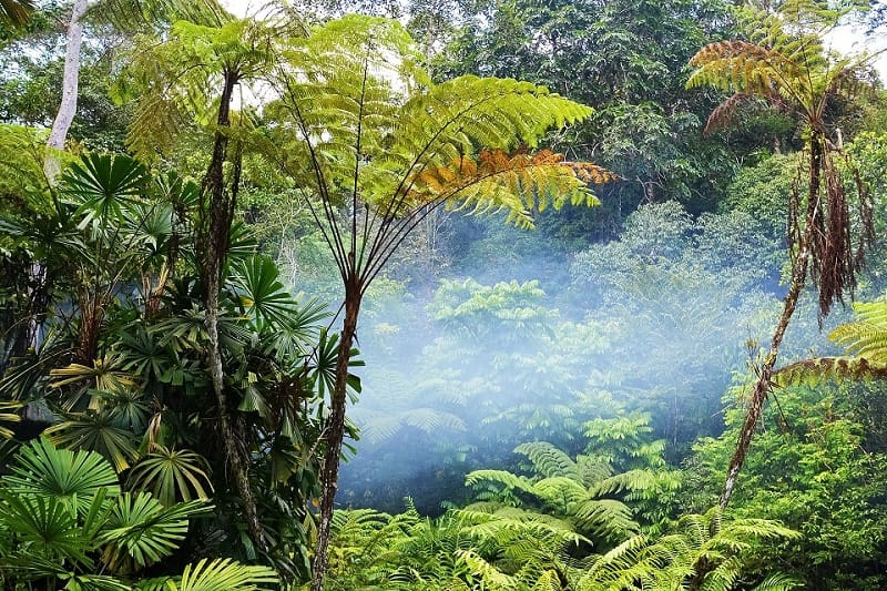 Image from: "Malaysia, Truly Asia" is one of the most successful & longest-running tourism branding in the world