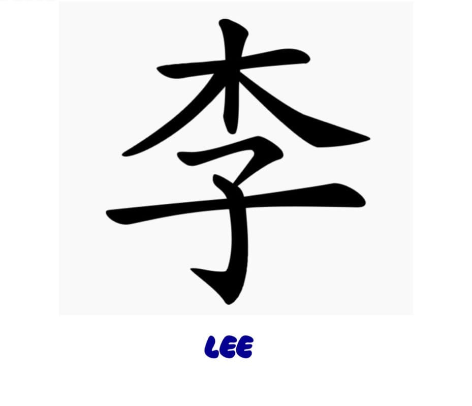Image from: Don't Marry a "Lee" Or My Father Will Haunt You. A Hakka Girl Confessions