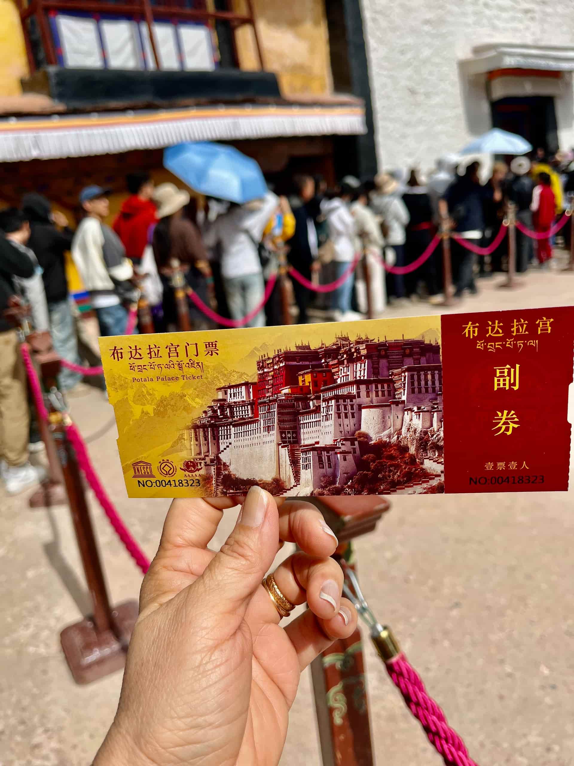 Image from: My Tibet Adventure: Surviving High Altitude & Climbing Potala Palace