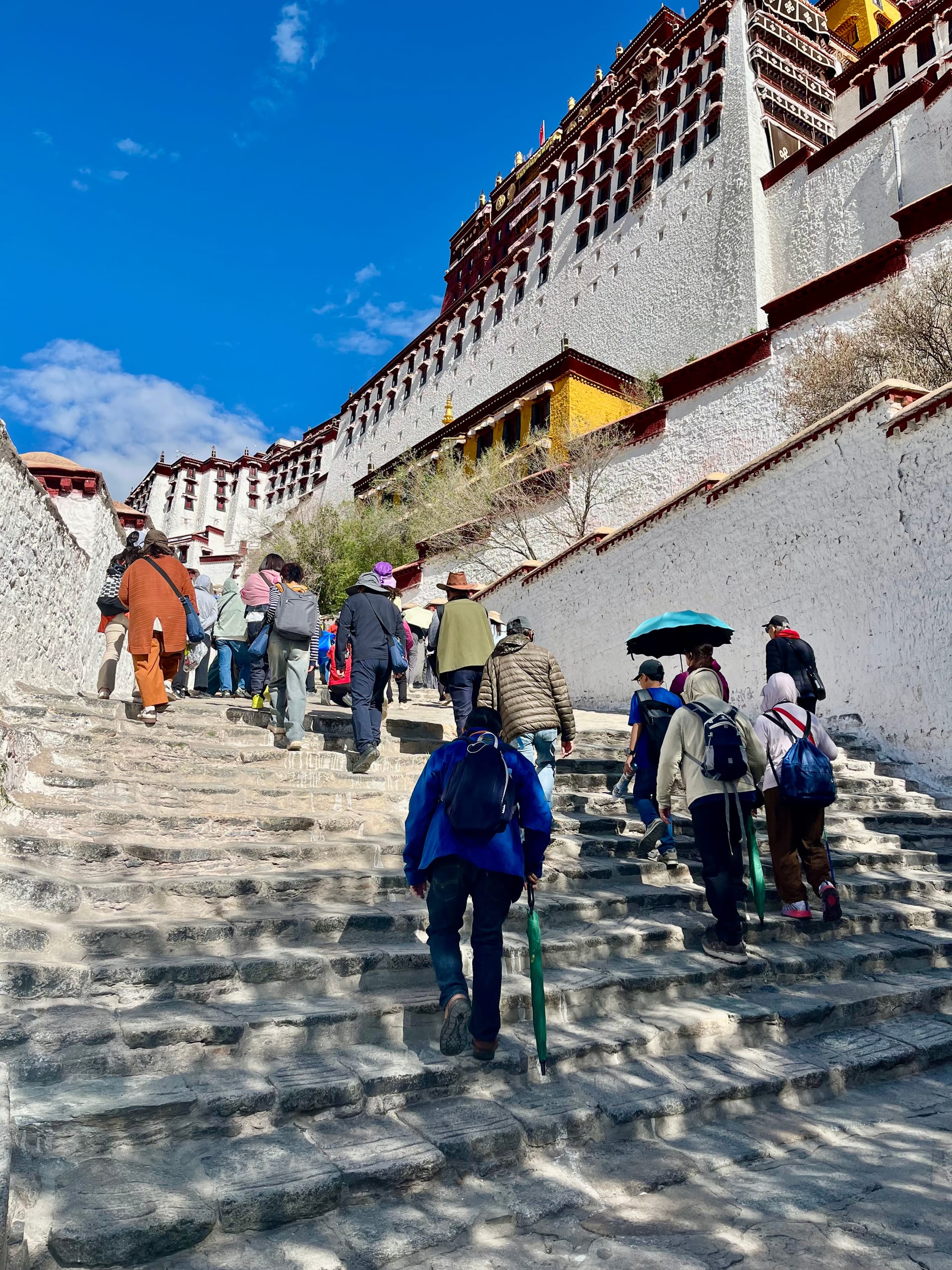 Image from: My Tibet Adventure: Surviving High Altitude & Climbing Potala Palace