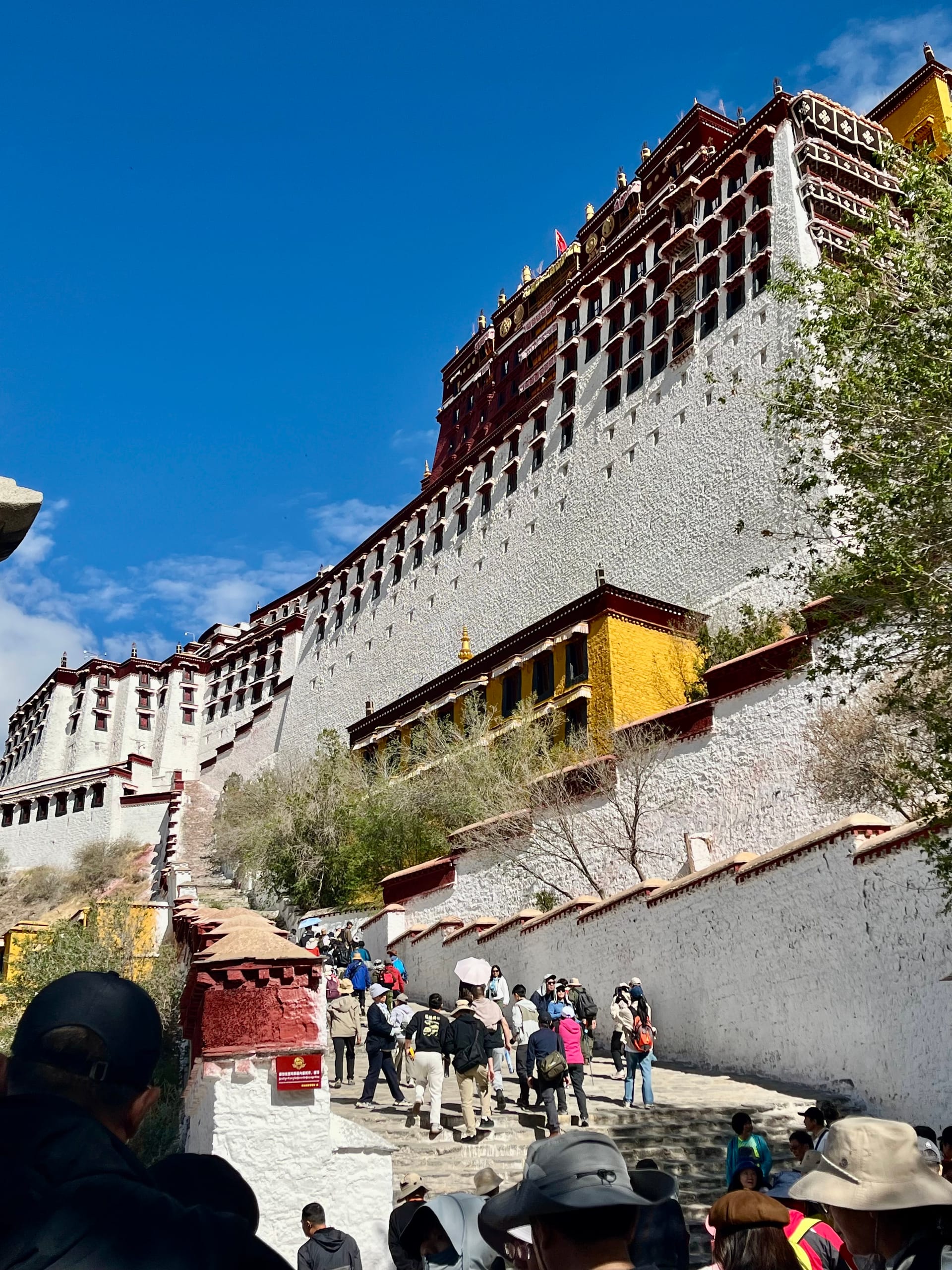 Image from: My Tibet Adventure: Surviving High Altitude & Climbing Potala Palace