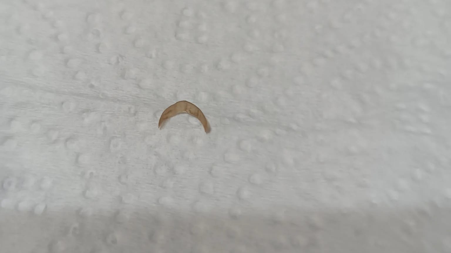 Image from: Big Black Nail found in Bubble Tea Drink? Owner responded "If you drank my fingernail, it must be fate!"