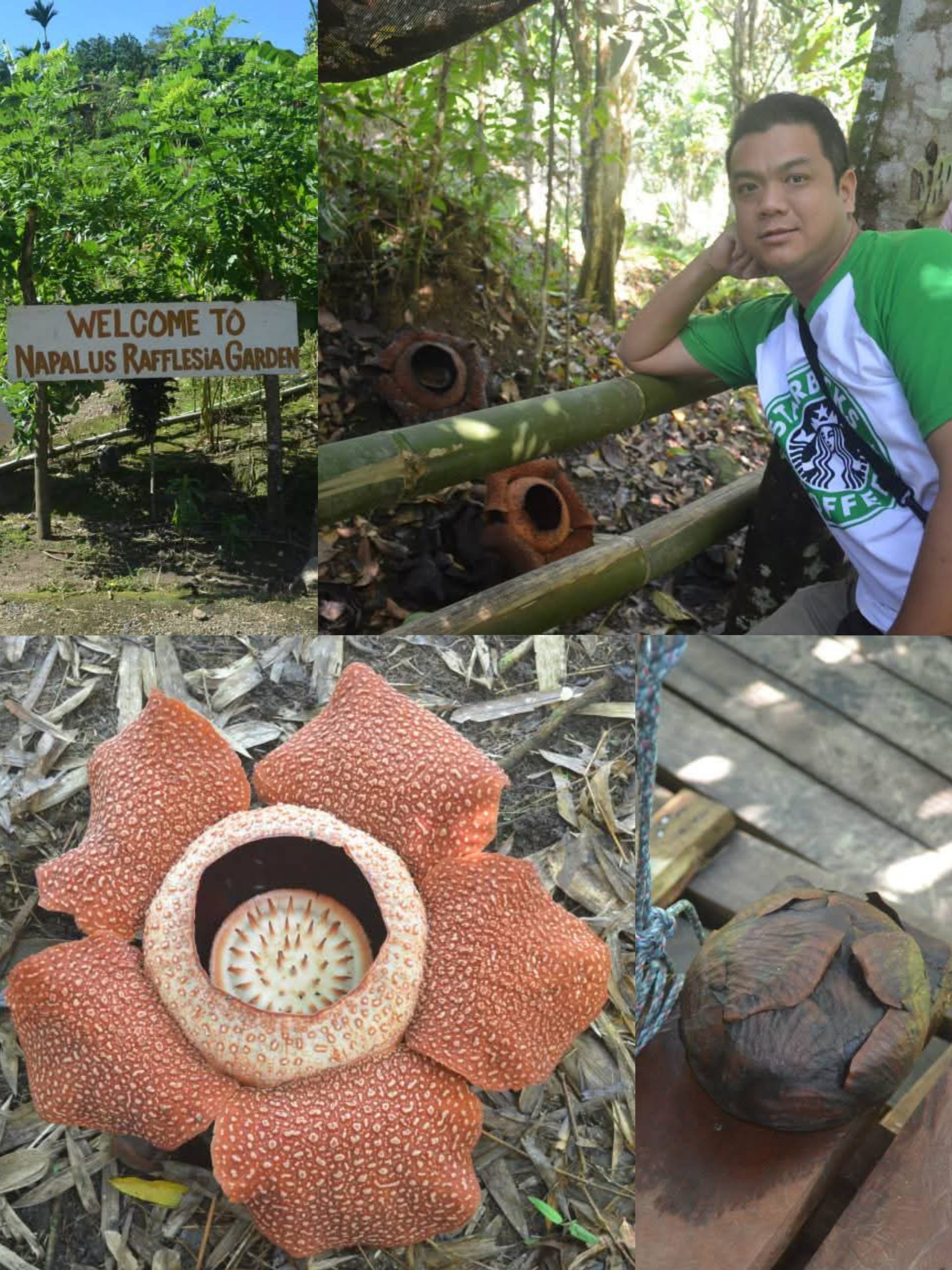 Image from: #EiTahuTak | Malaysia’s Hidden Gems That the World Deserves to Know
