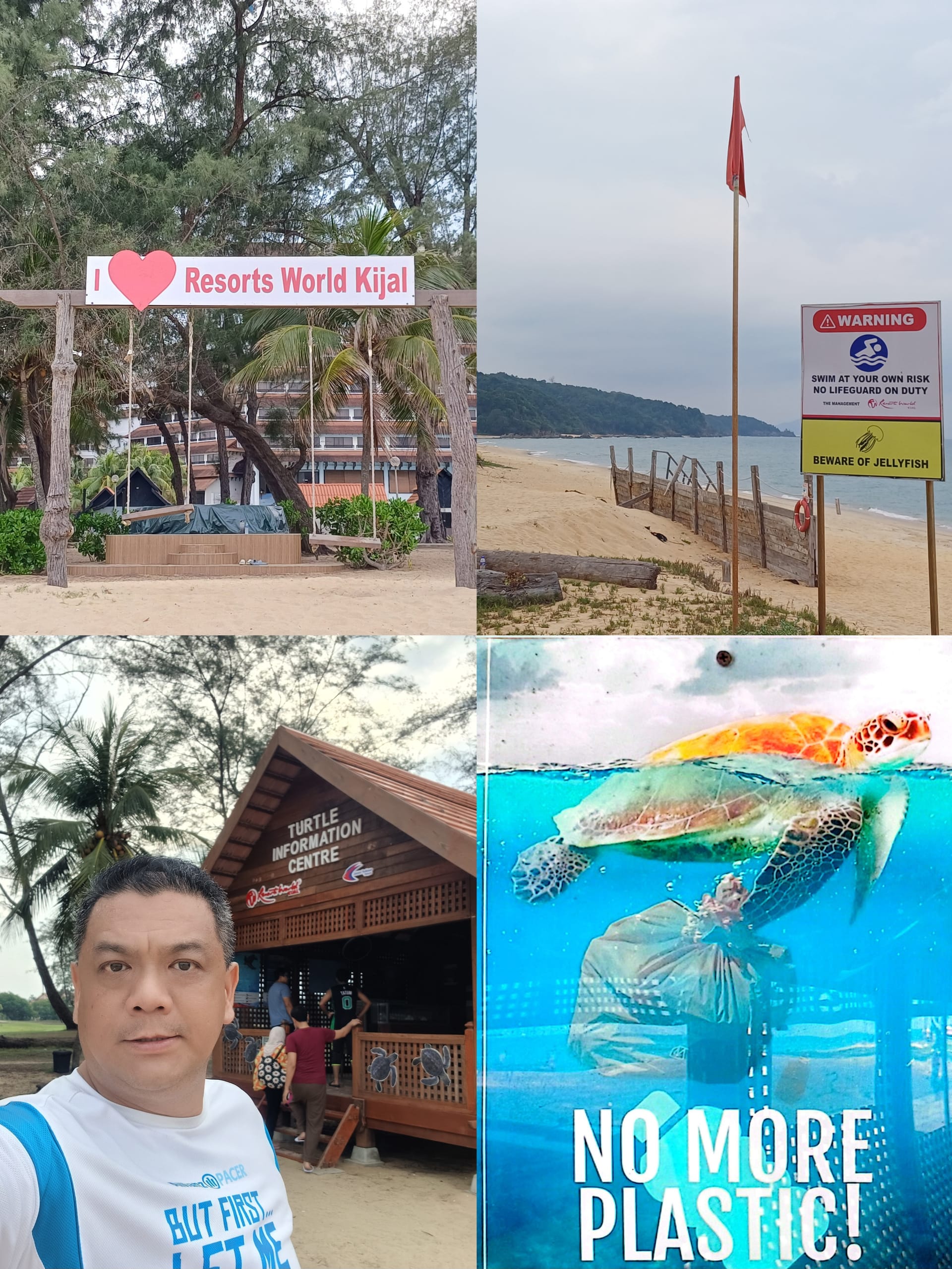 Image from: #EiTahuTak | Sea Turtles Travel Thousands of Kilometres to Return Home — And Malaysia's East Coast Is Part of Their Story