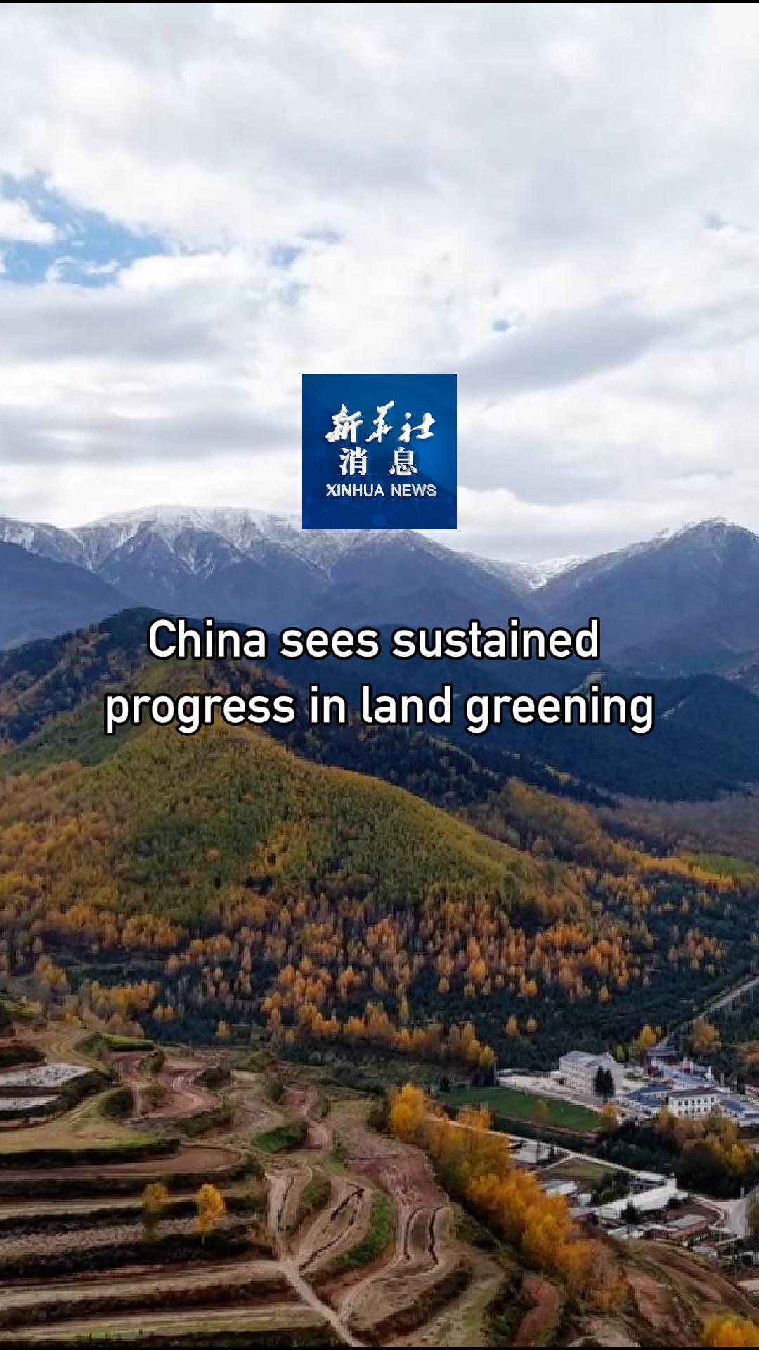 Xinhua News | China sees sustained progress in land greening - Newswav