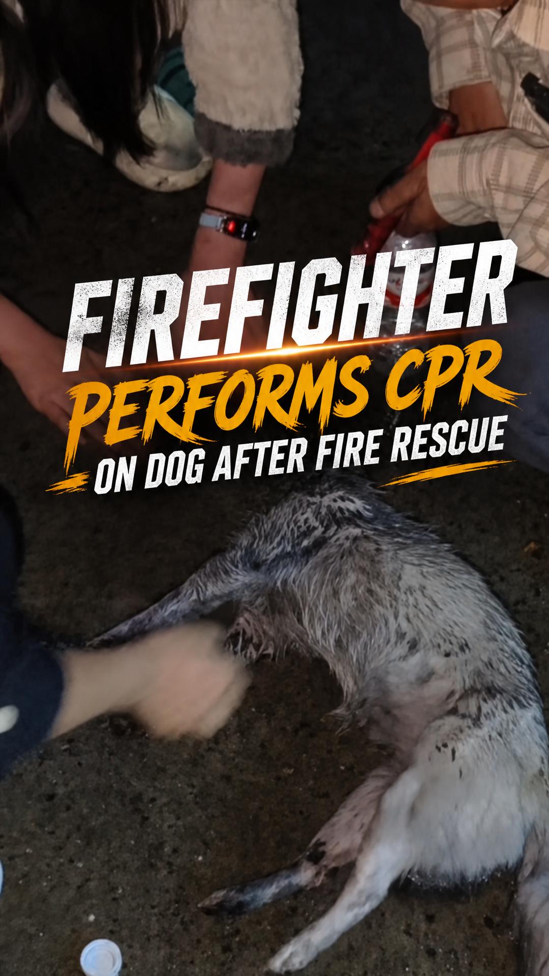 Firefighter performs CPR on dog after fire rescue - Newswav